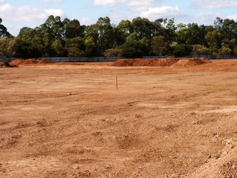 Property Line Clearing