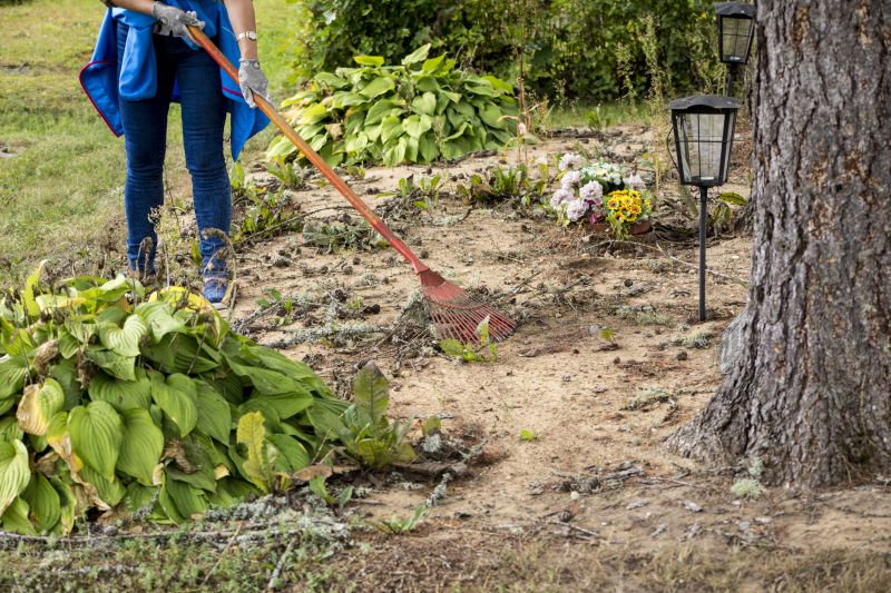 Who Does Land Clearings