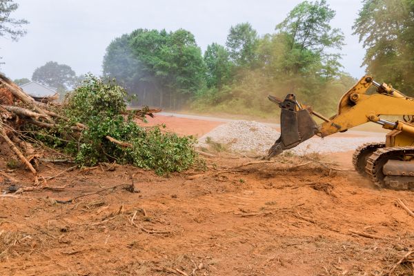 Ground Clearing in Cranston