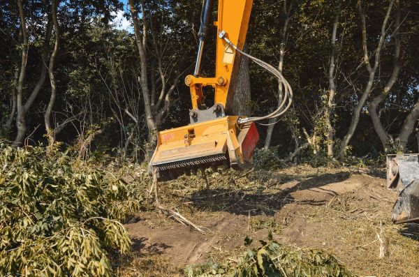 Brush Removal Service in Cranston