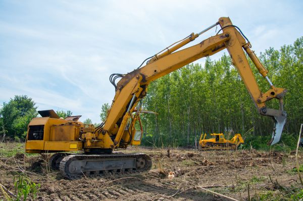 Cost of Farm Clearing in Cranston