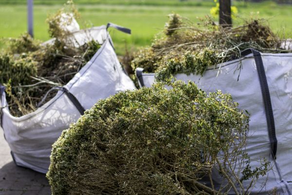 Bushes Clearing in Cranston
