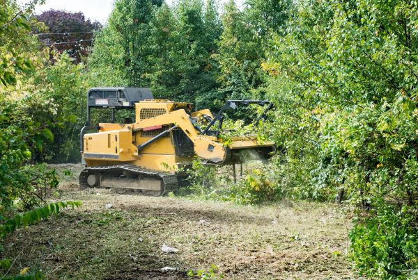 Pathway Clearing in Cranston