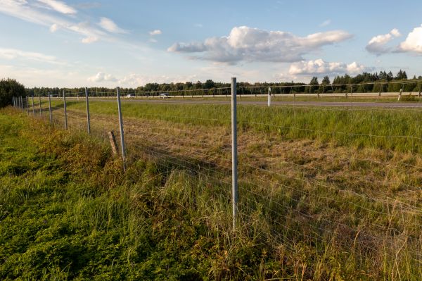 Cost of Property Line Clearing in Cranston