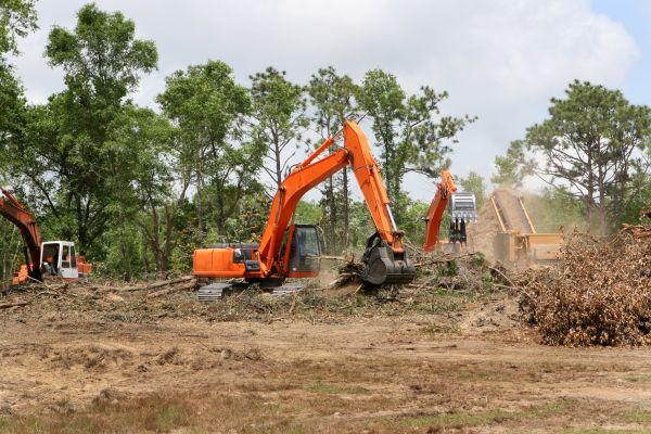 Cost of Commercial Lot Clearing in Cranston