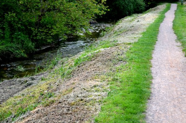 Cost of Trail Cutting in Cranston